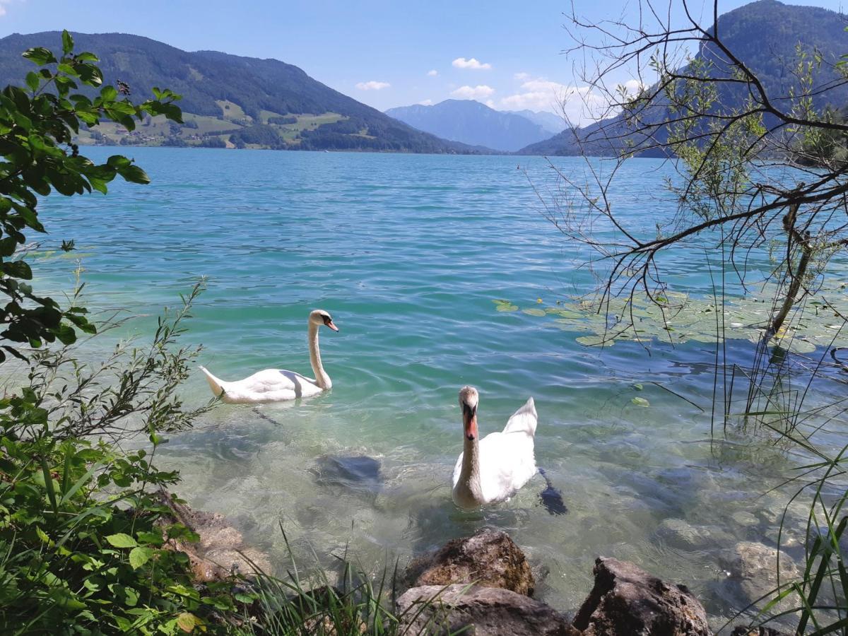 Apartment Am Wolfgangsee Strobl Zewnętrze zdjęcie