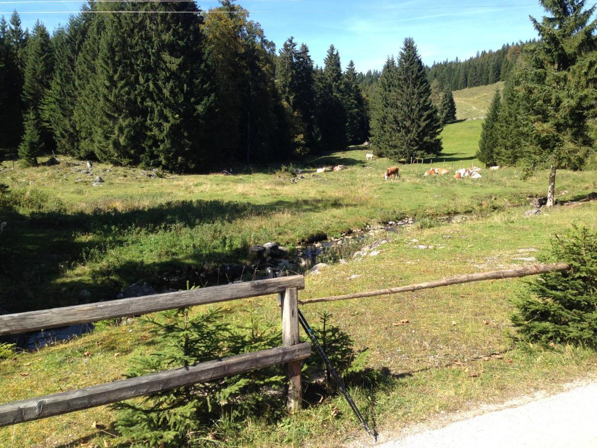 Apartment Am Wolfgangsee Strobl Zewnętrze zdjęcie